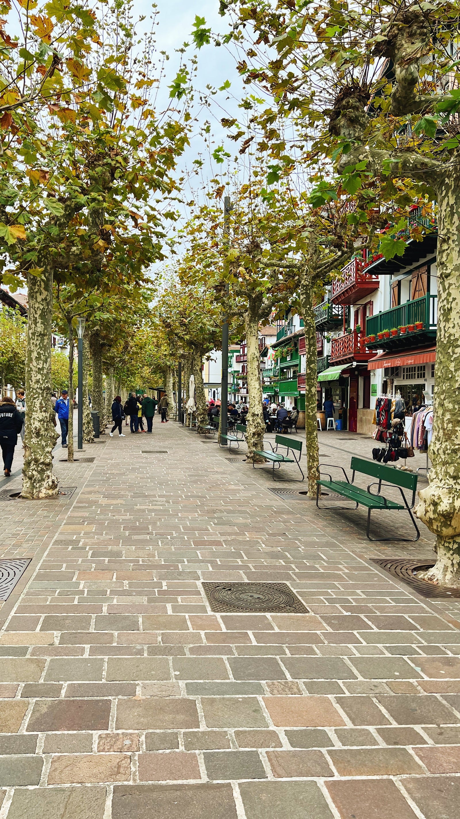 A view down the stone path between the trees in Hondarribia, Basque Country. From Donostia Foods.