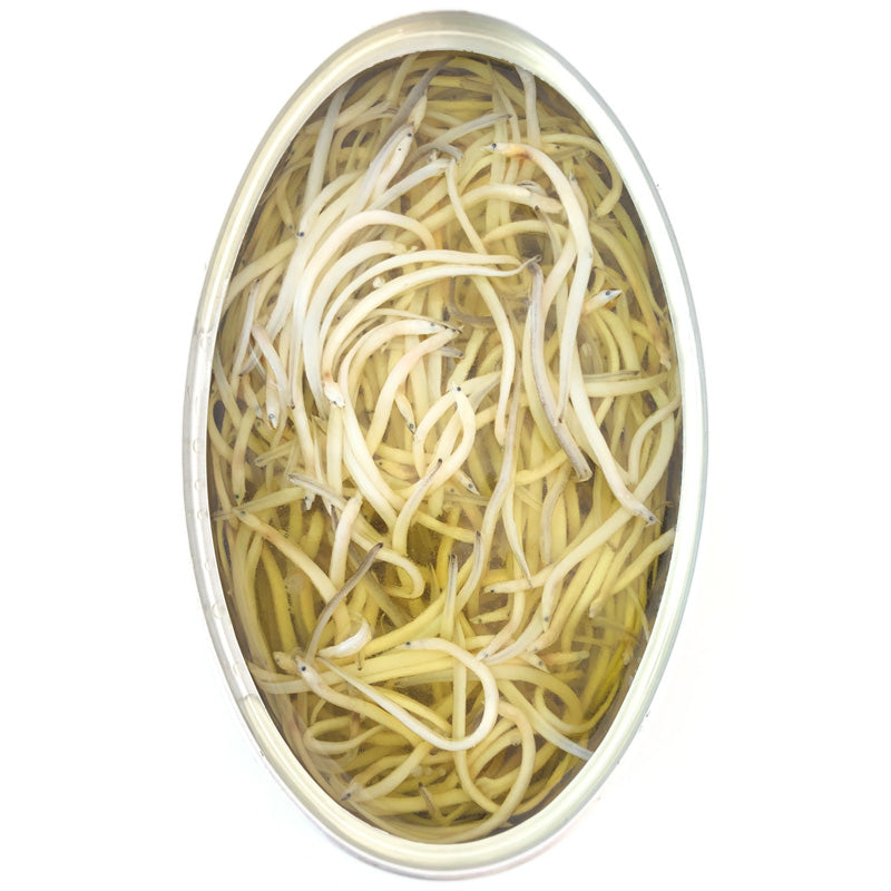 Angulas in Olive Oil - Authentic Angulas - Baby Eels - Donostia Foods