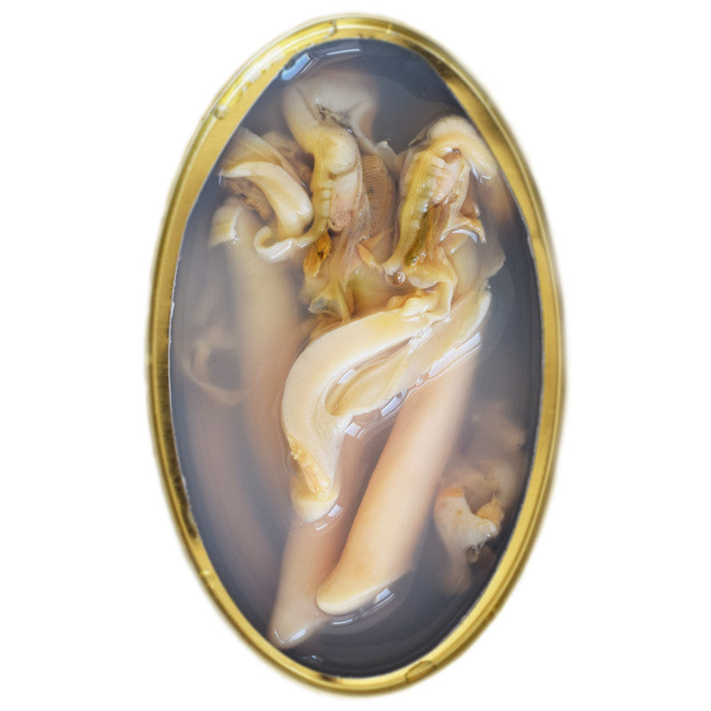 Razor Shell Clams in Brine (Navajas al Natural)