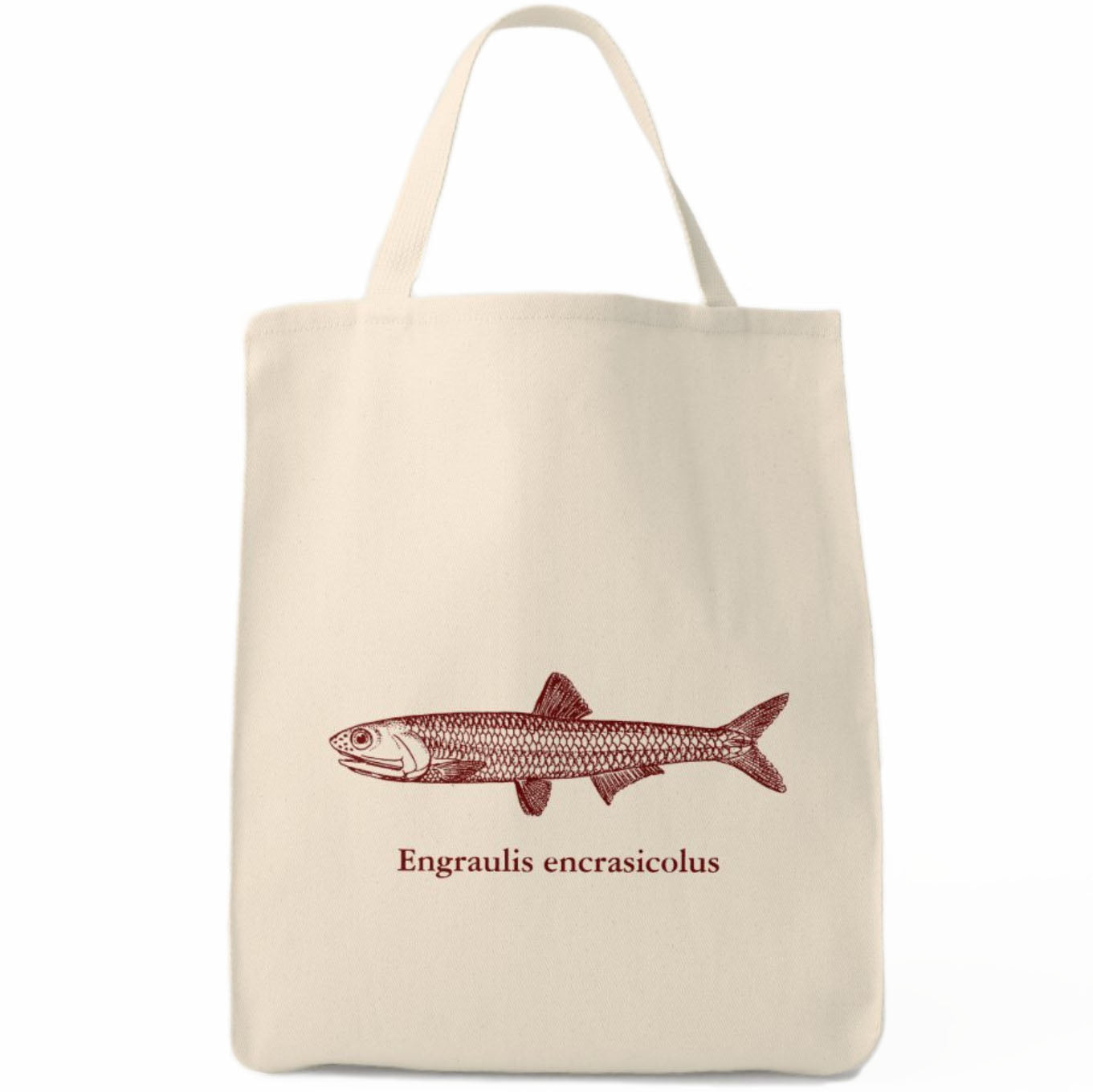 European Anchovy Tote Bag - Cantabrian Anchovy - Engraulis encrasicolus fish - Donostia Foods